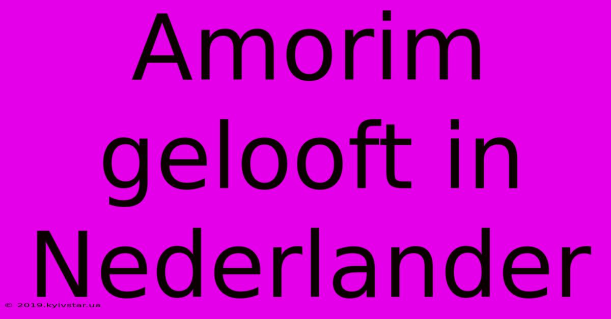 Amorim Gelooft In Nederlander