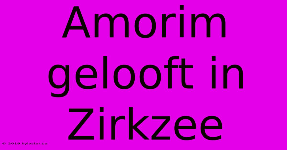 Amorim Gelooft In Zirkzee