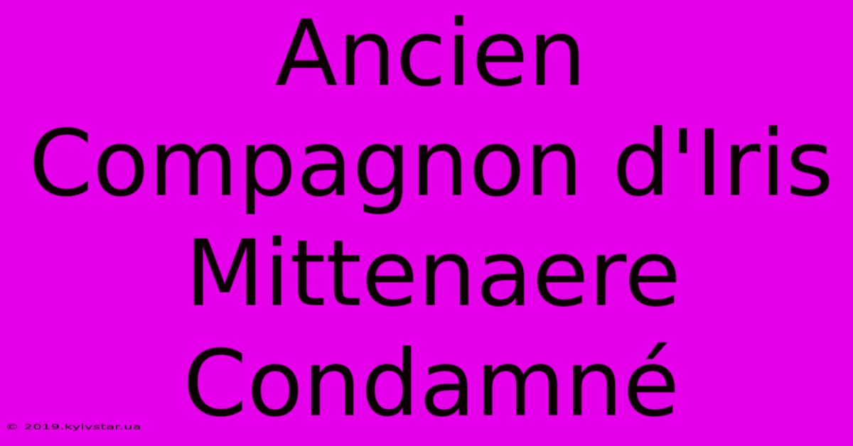 Ancien Compagnon D'Iris Mittenaere Condamné