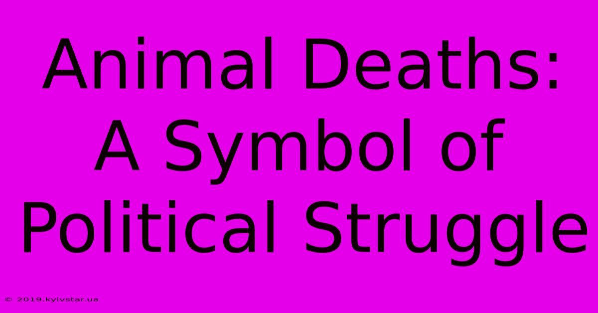 Animal Deaths: A Symbol Of Political Struggle 