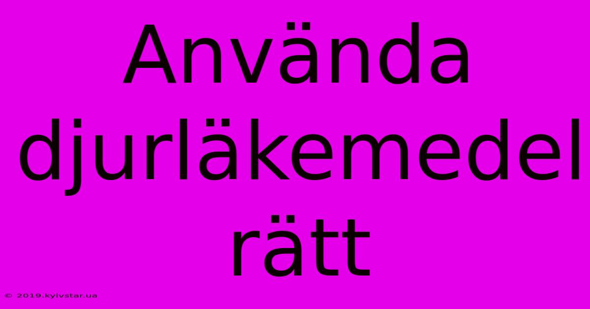 Använda Djurläkemedel Rätt