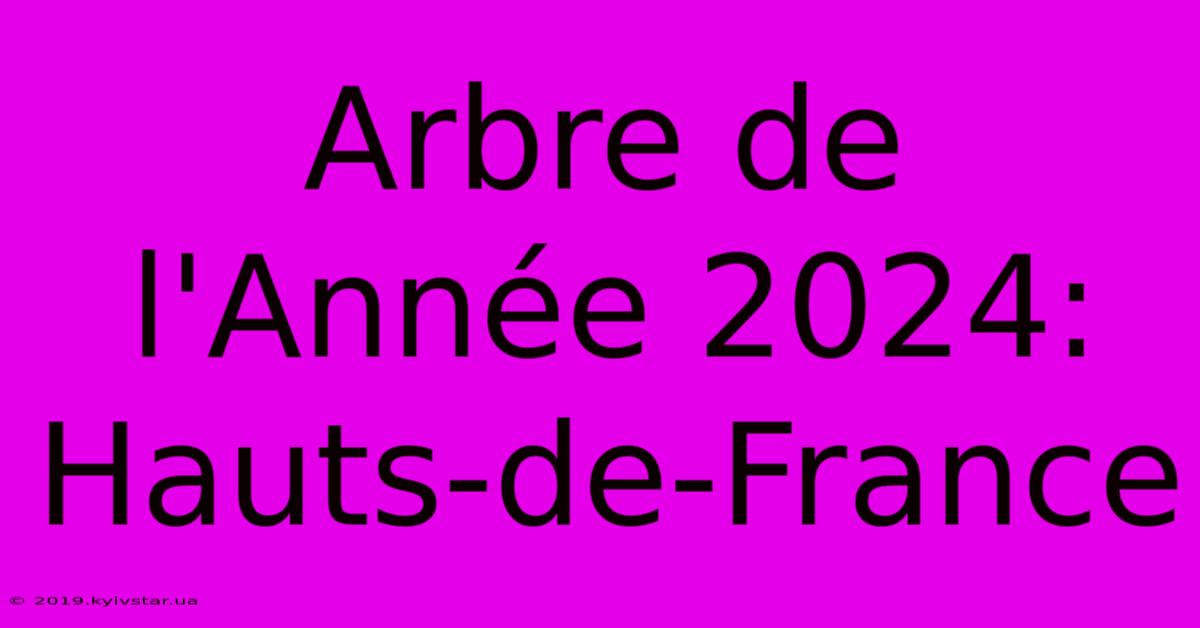 Arbre De L'Année 2024: Hauts-de-France