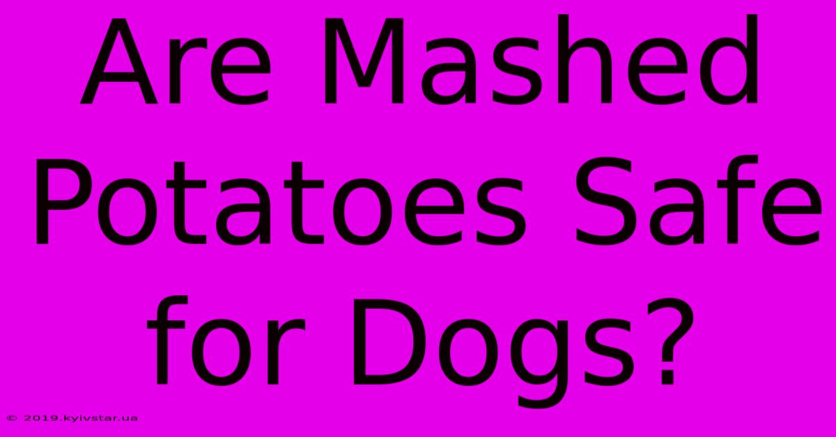 Are Mashed Potatoes Safe For Dogs?