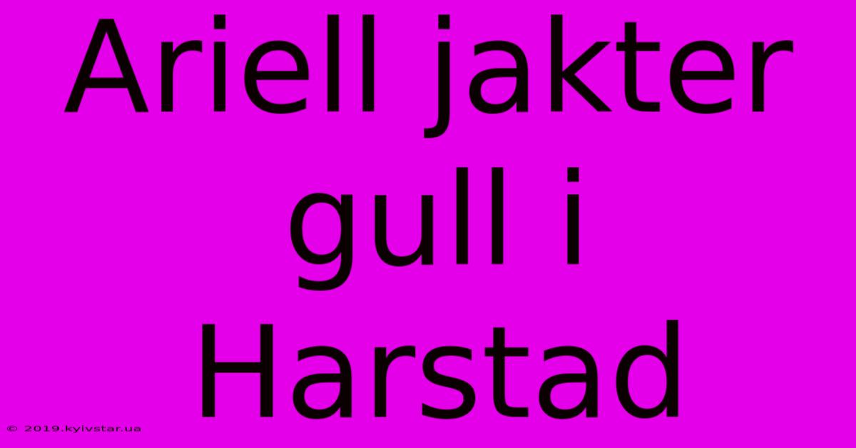 Ariell Jakter Gull I Harstad