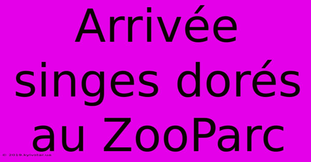 Arrivée Singes Dorés Au ZooParc