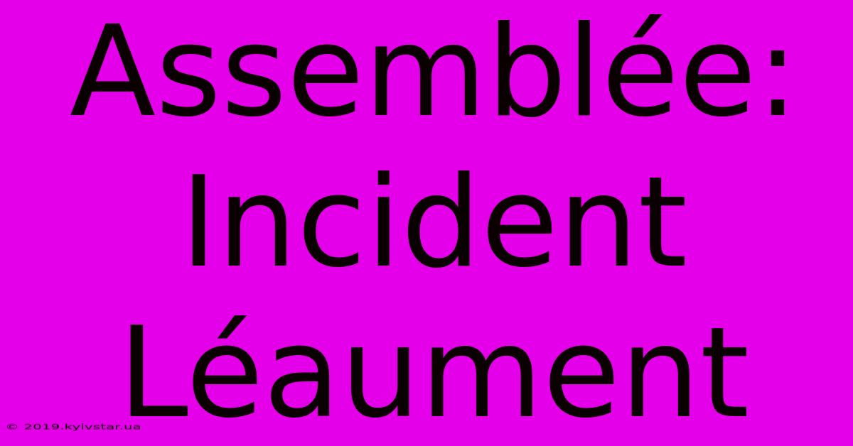 Assemblée: Incident Léaument