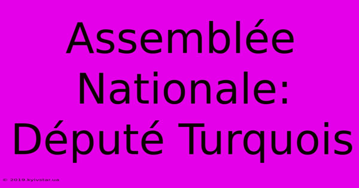 Assemblée Nationale: Député Turquois