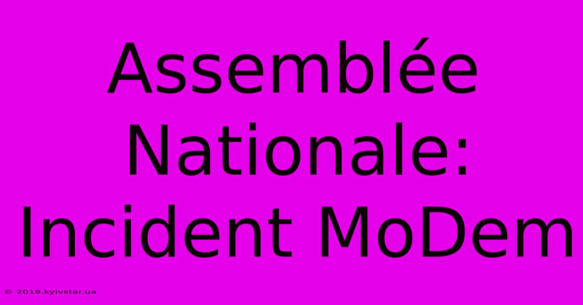 Assemblée Nationale:  Incident MoDem