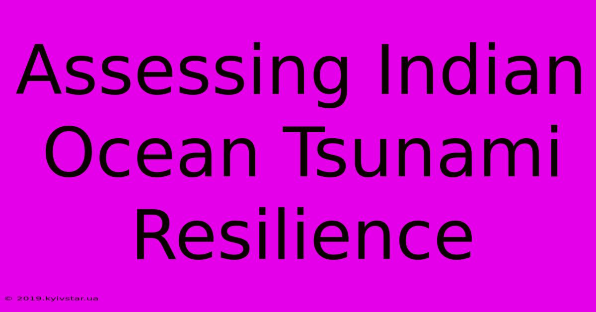 Assessing Indian Ocean Tsunami Resilience