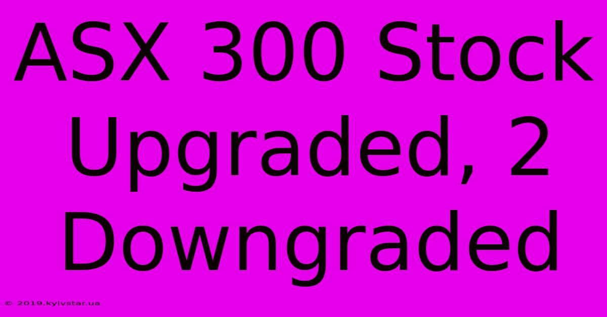 ASX 300 Stock Upgraded, 2 Downgraded