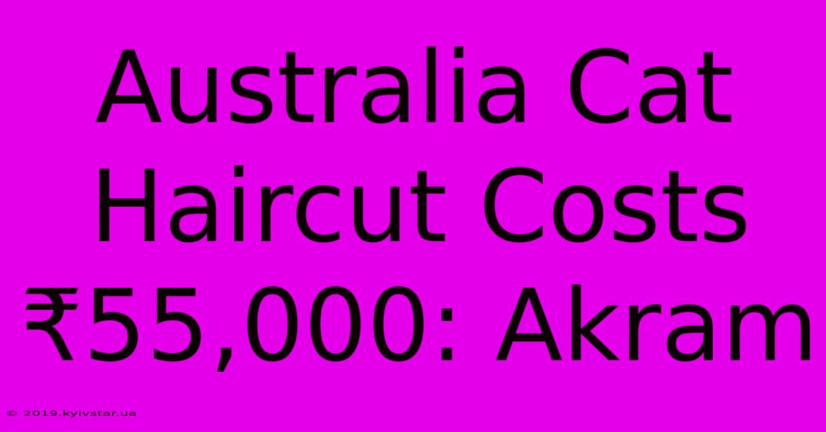 Australia Cat Haircut Costs ₹55,000: Akram