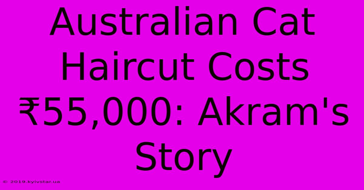 Australian Cat Haircut Costs ₹55,000: Akram's Story 