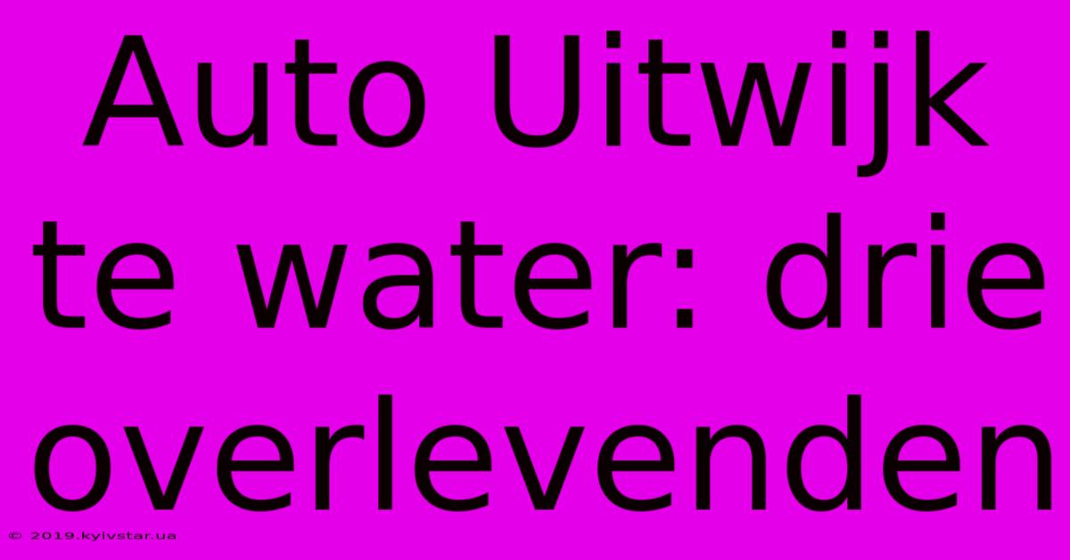 Auto Uitwijk Te Water: Drie Overlevenden