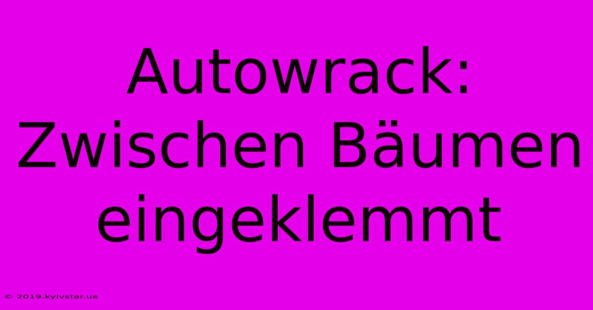 Autowrack: Zwischen Bäumen Eingeklemmt