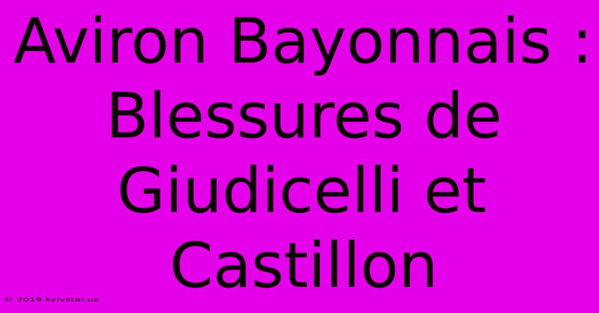 Aviron Bayonnais : Blessures De Giudicelli Et Castillon 