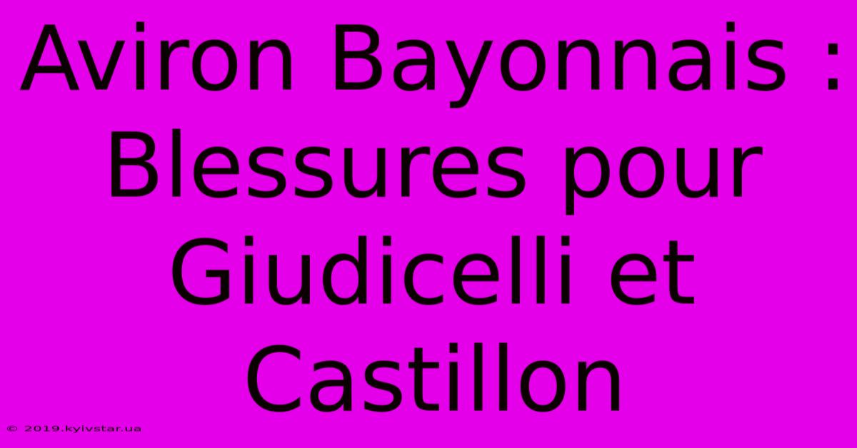 Aviron Bayonnais : Blessures Pour Giudicelli Et Castillon