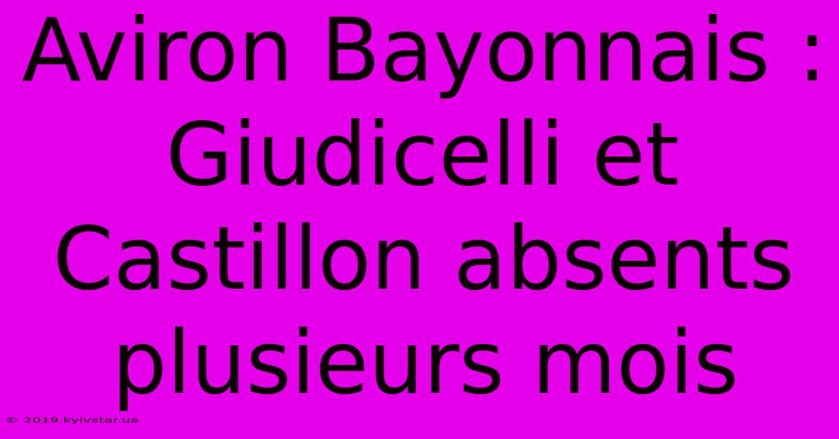 Aviron Bayonnais : Giudicelli Et Castillon Absents Plusieurs Mois