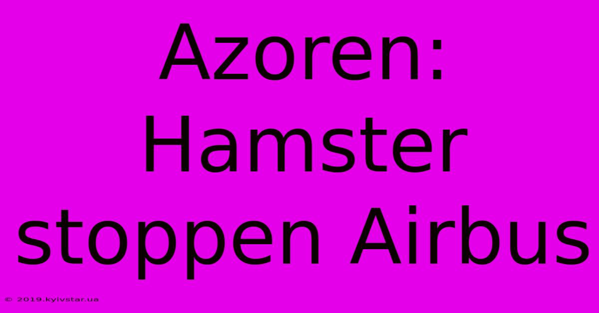 Azoren: Hamster Stoppen Airbus