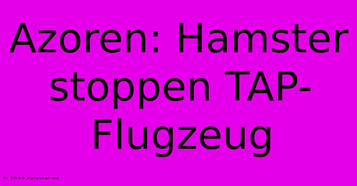 Azoren: Hamster Stoppen TAP-Flugzeug