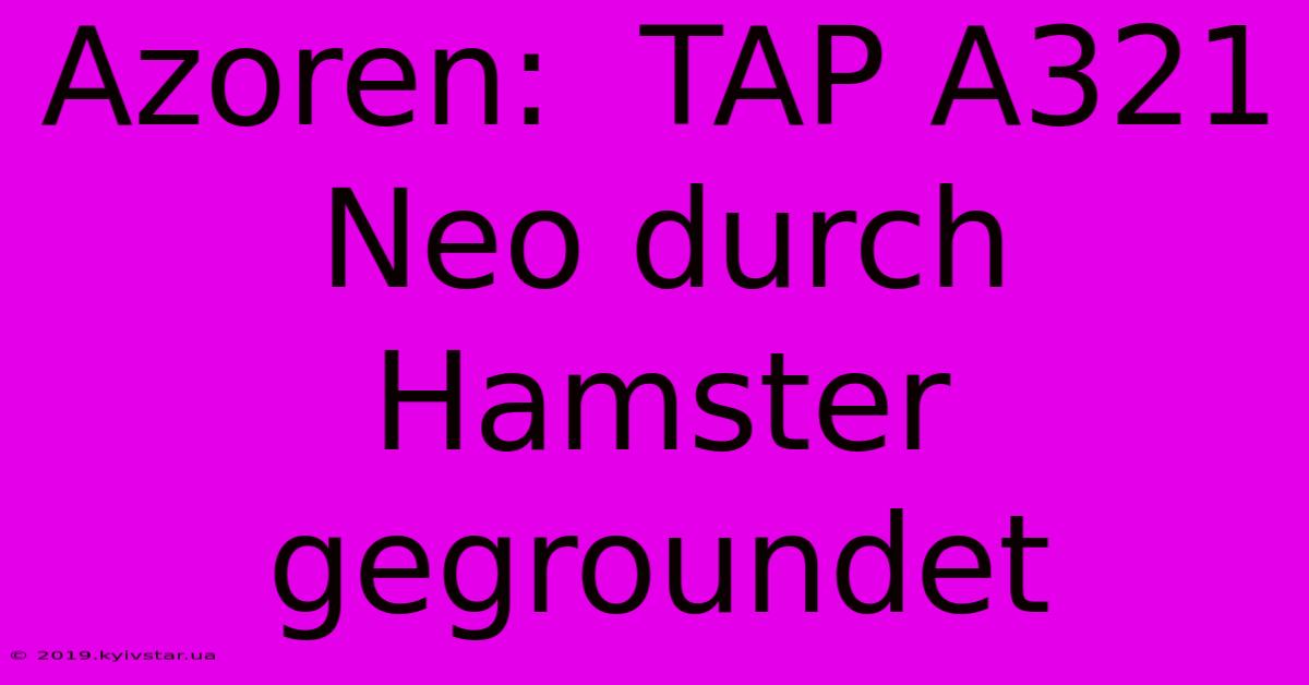 Azoren:  TAP A321 Neo Durch Hamster Gegroundet