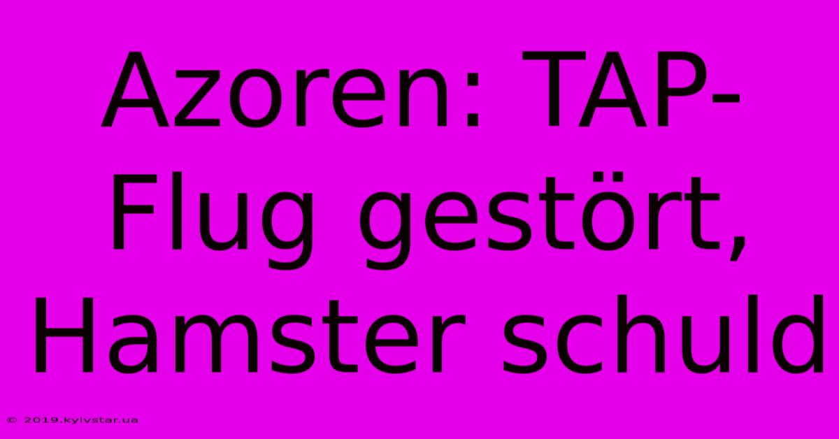 Azoren: TAP-Flug Gestört, Hamster Schuld