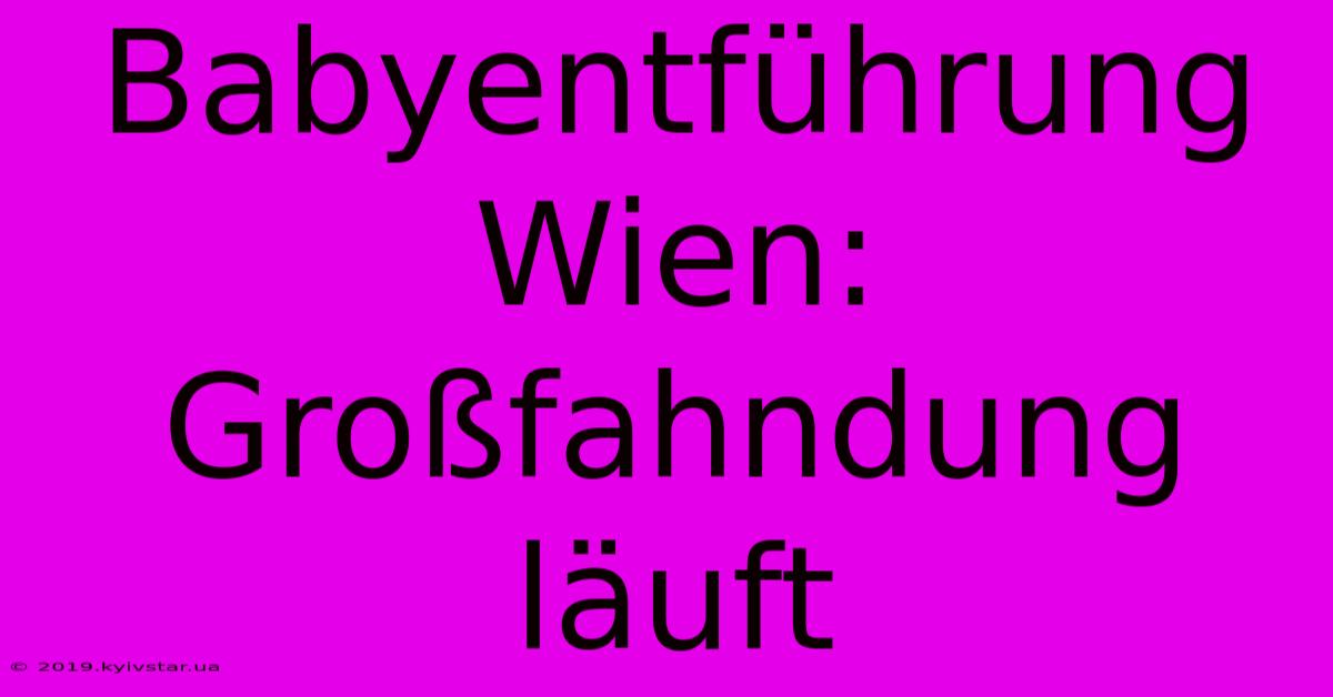 Babyentführung Wien: Großfahndung Läuft