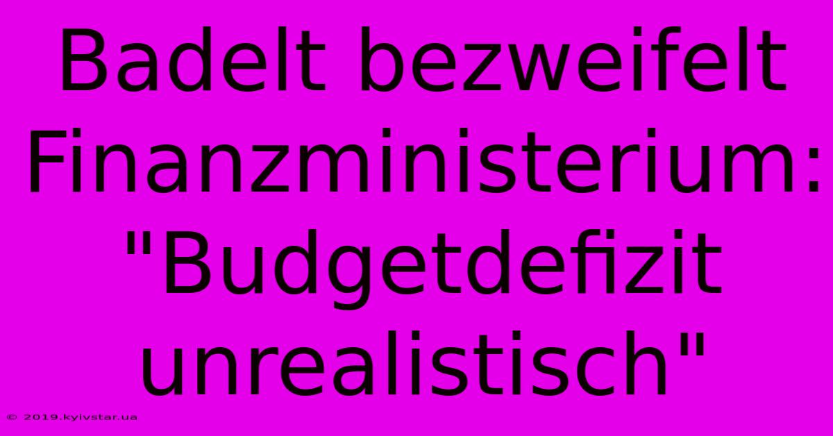 Badelt Bezweifelt Finanzministerium: 