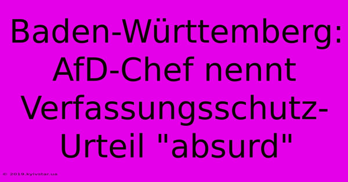 Baden-Württemberg: AfD-Chef Nennt Verfassungsschutz-Urteil 