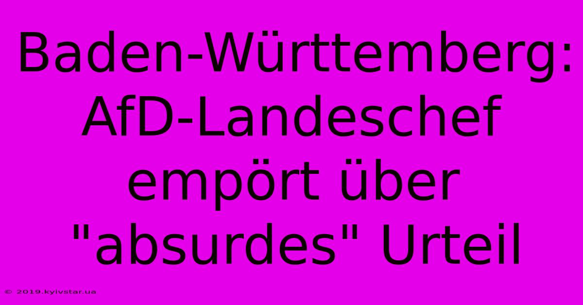 Baden-Württemberg: AfD-Landeschef Empört Über 