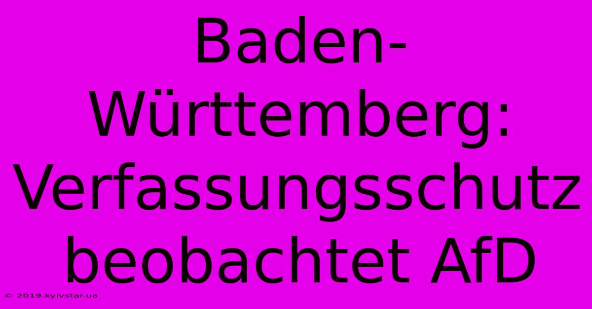 Baden-Württemberg: Verfassungsschutz Beobachtet AfD