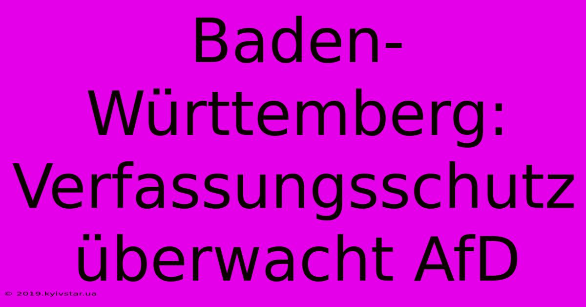 Baden-Württemberg: Verfassungsschutz Überwacht AfD 