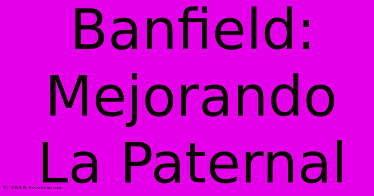 Banfield: Mejorando La Paternal 