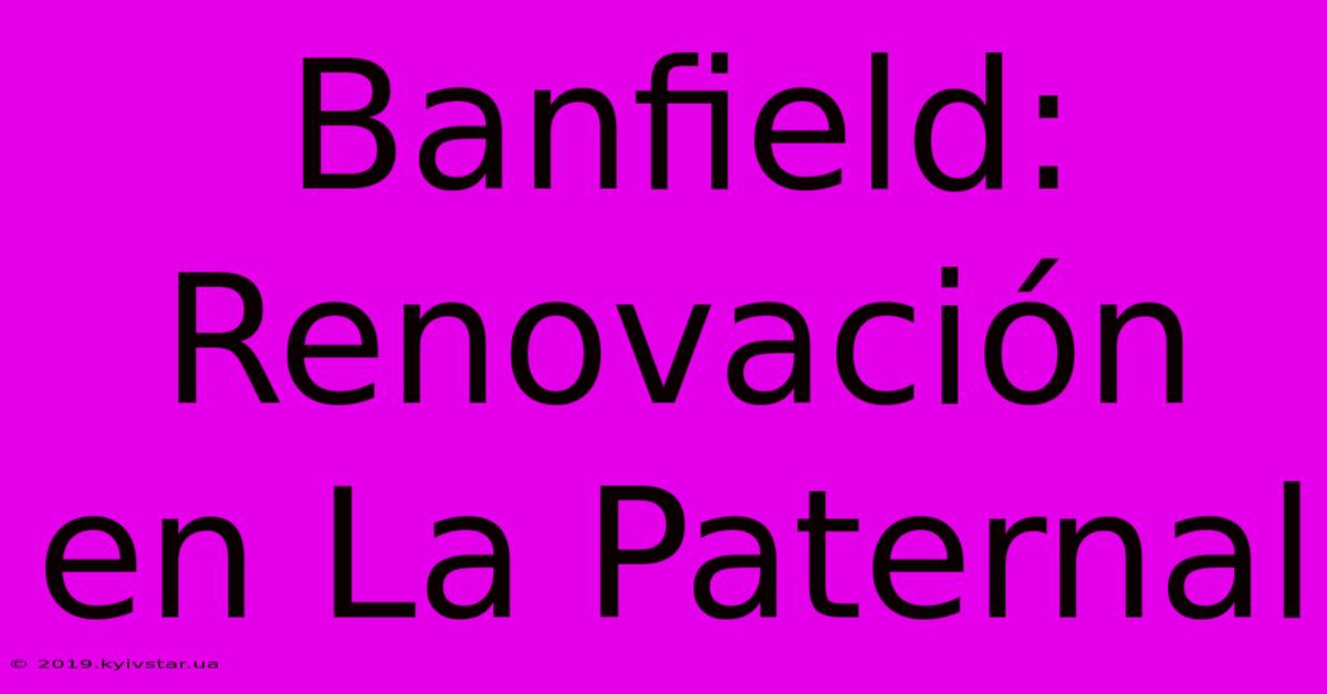 Banfield: Renovación En La Paternal