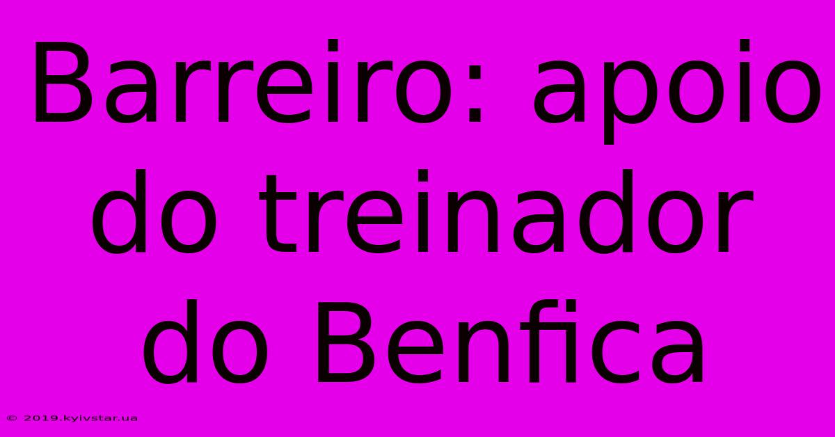 Barreiro: Apoio Do Treinador Do Benfica