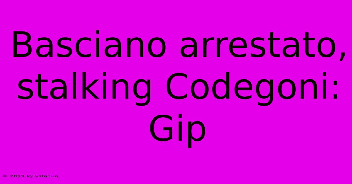 Basciano Arrestato, Stalking Codegoni: Gip