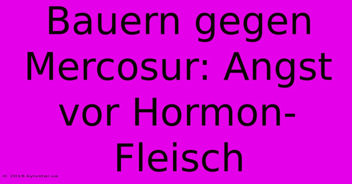 Bauern Gegen Mercosur: Angst Vor Hormon-Fleisch 