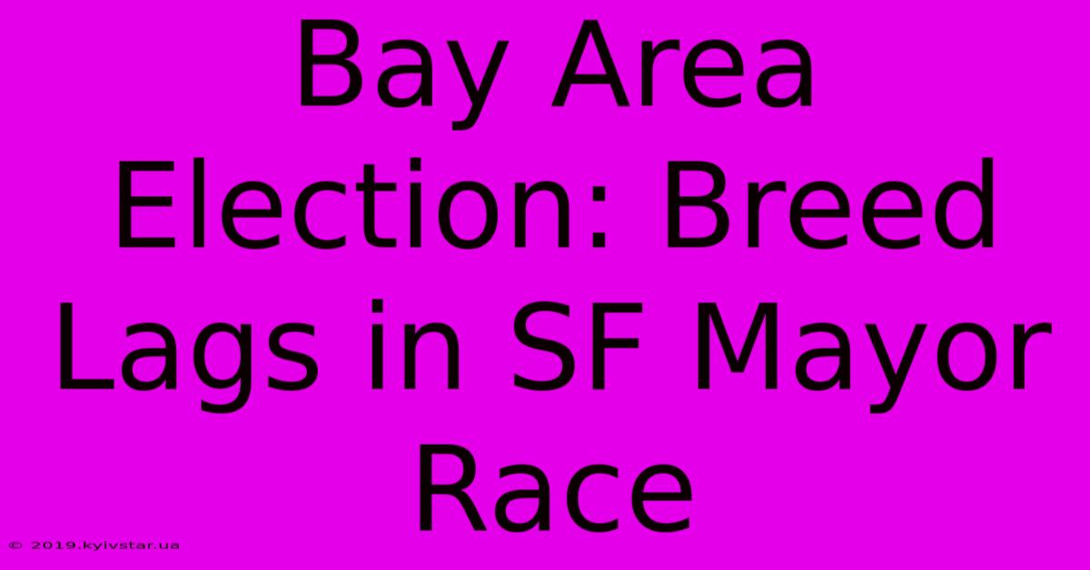 Bay Area Election: Breed Lags In SF Mayor Race