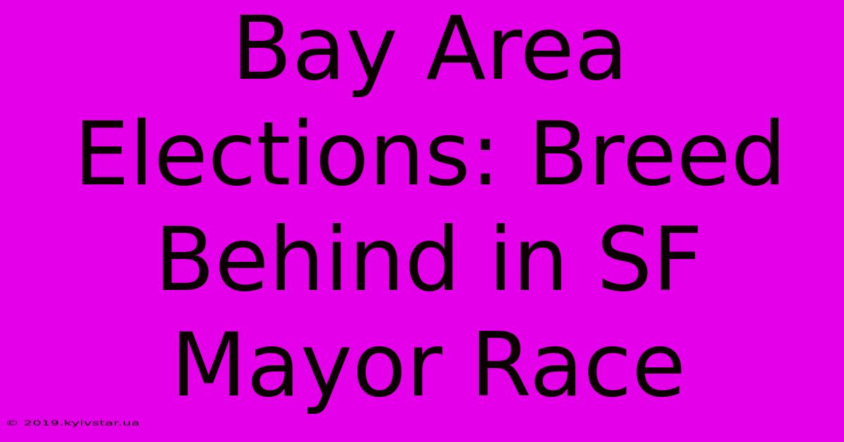 Bay Area Elections: Breed Behind In SF Mayor Race