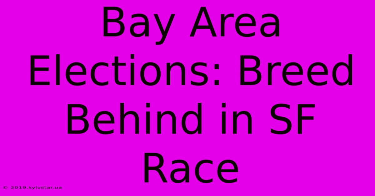 Bay Area Elections: Breed Behind In SF Race