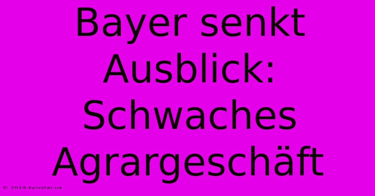 Bayer Senkt Ausblick: Schwaches Agrargeschäft