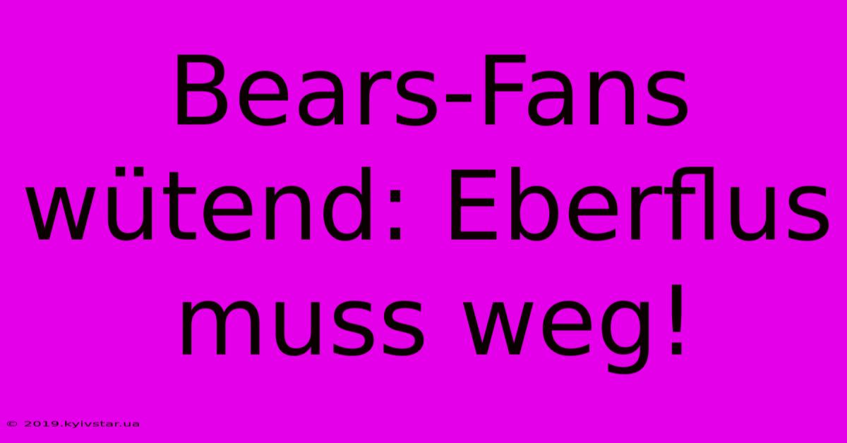 Bears-Fans Wütend: Eberflus Muss Weg!