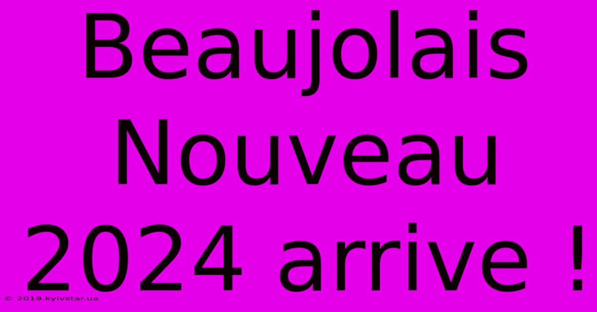 Beaujolais Nouveau 2024 Arrive !