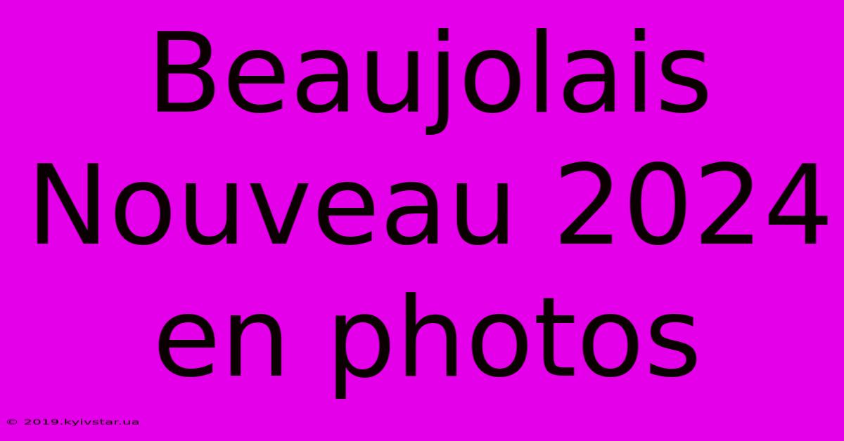 Beaujolais Nouveau 2024 En Photos