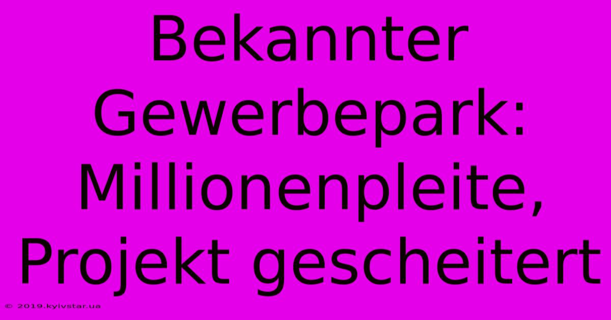 Bekannter Gewerbepark: Millionenpleite, Projekt Gescheitert