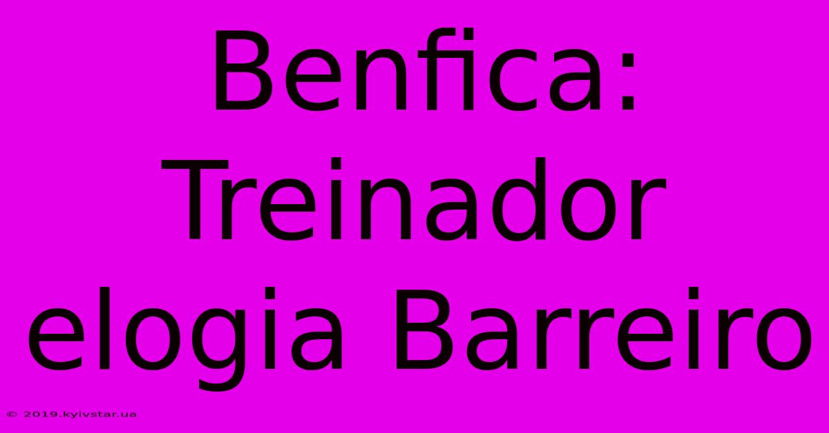 Benfica: Treinador Elogia Barreiro