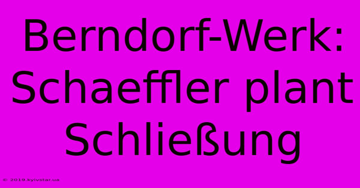 Berndorf-Werk: Schaeffler Plant Schließung