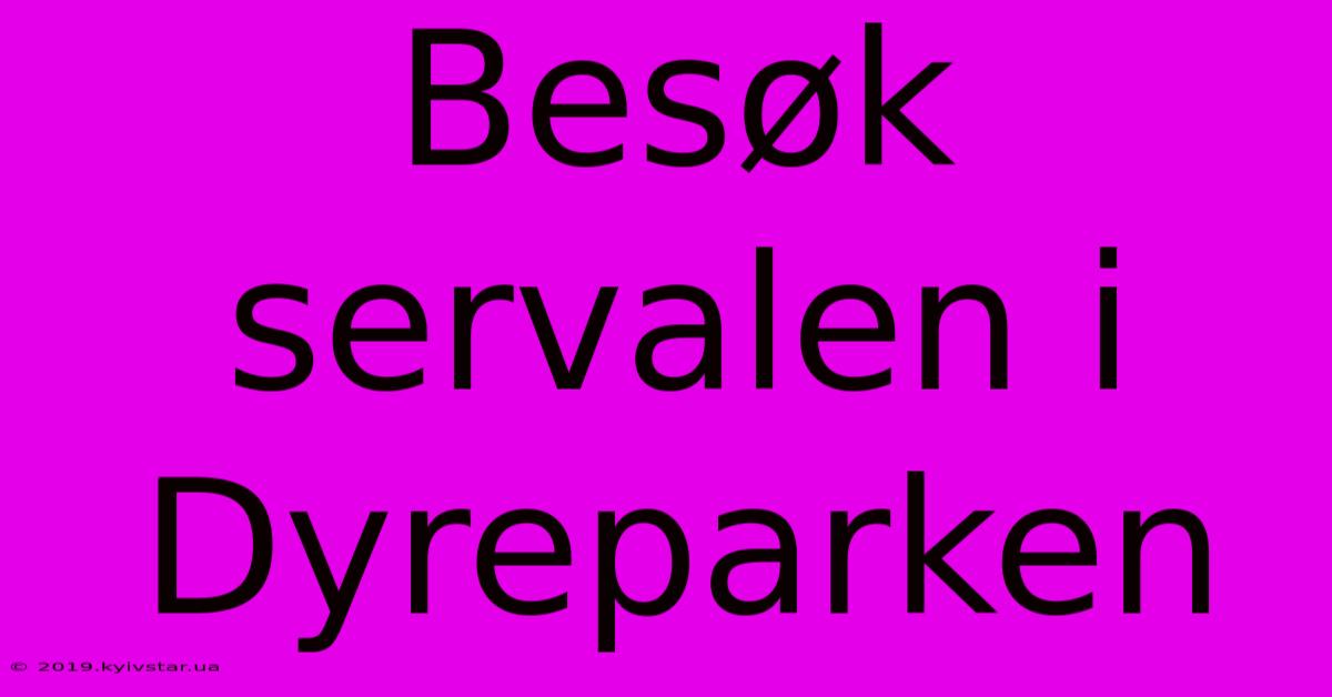 Besøk Servalen I Dyreparken