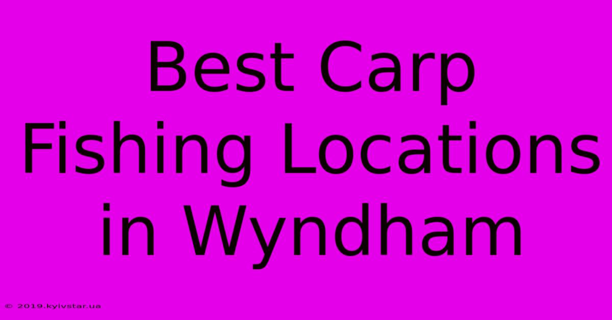 Best Carp Fishing Locations In Wyndham