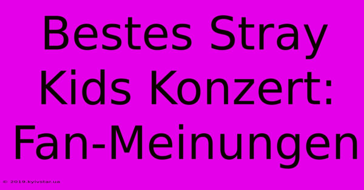 Bestes Stray Kids Konzert: Fan-Meinungen