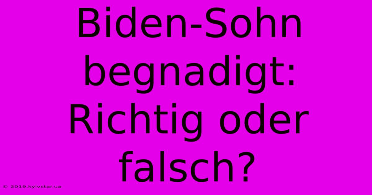 Biden-Sohn Begnadigt: Richtig Oder Falsch?